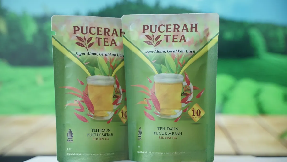 Penelitian Dosen UNJA Ungkap Potensi Daun Pucuk Merah sebagai Teh Herbal Berantioksidan Tinggi