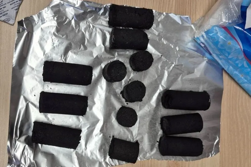 Mahasiswa ITB Kembangkan Bio-Briket dari Daun Kering dan Serabut Kelapa