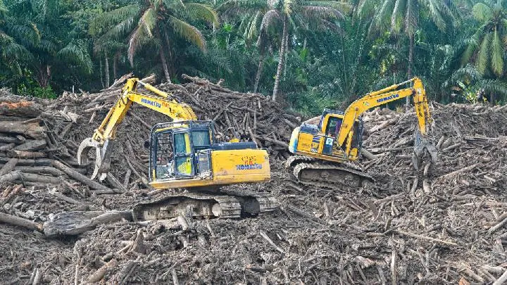 Bank Dunia: Banjir dan Longsor di Sumatera Berisiko Tekan Pertumbuhan Ekonomi Indonesia