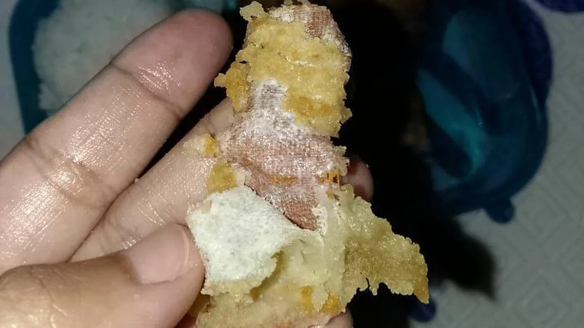 Viral Plester Bekas Ditemukan dalam Menu MBG di SD Sukabumi, Pengelola Dapur Sampaikan Permintaan Maaf