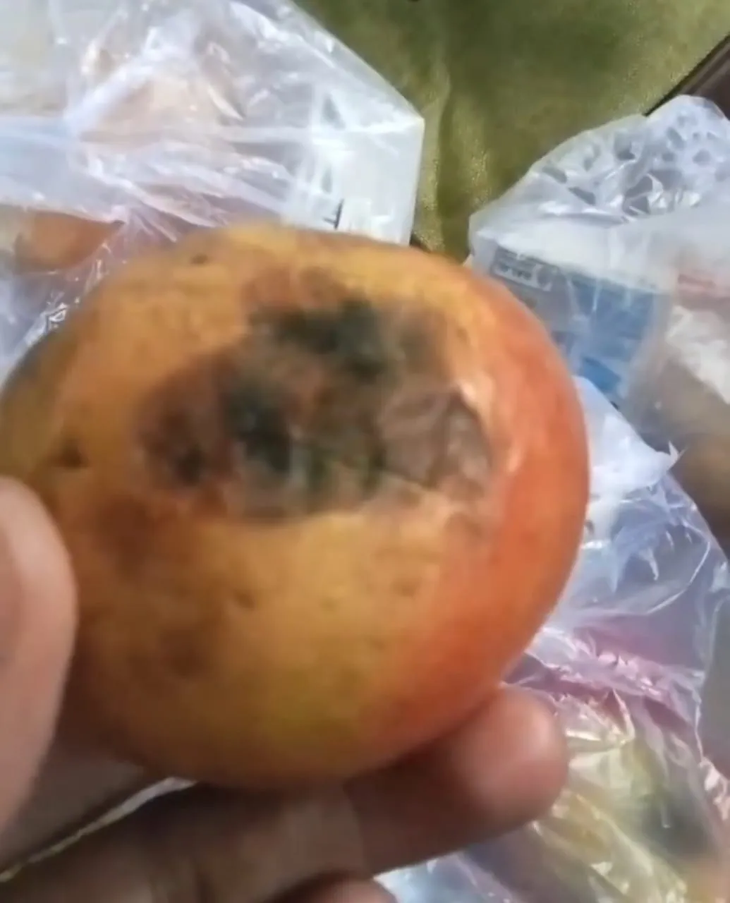 Orang Tua Siswa di SDN 18 Tumampua Temukan Apel Busuk pada Menu Makan Bergizi Gratis