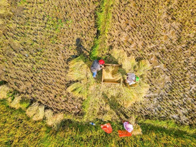 Dosen UGM Nilai Modernisasi Data Ketahanan Pangan dengan Citra Satelit dan Big Data Penting di Tengah Ancaman Krisis Global