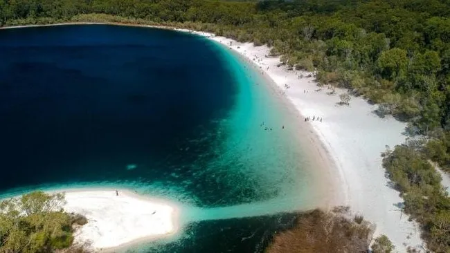Backpacker Asal Kanada Ditemukan Tewas di Pulau K'gari, Diduga Terkait Serangan Dingo