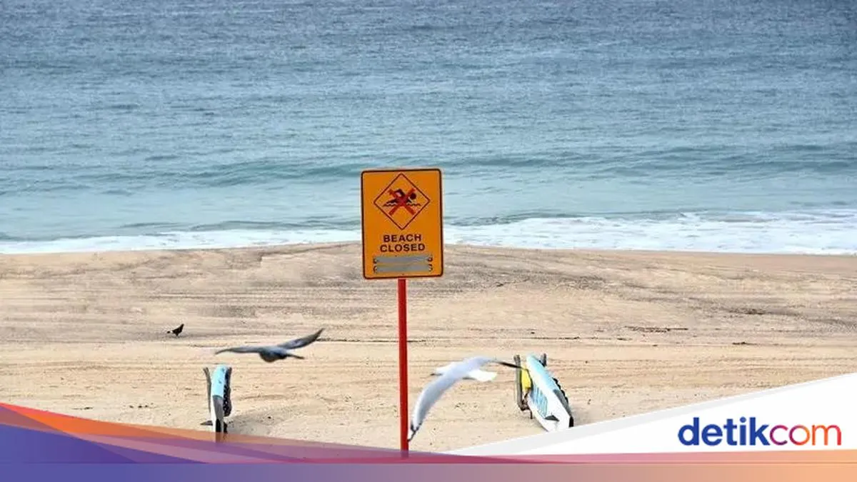 Halaman “Yang sedang ramai dicari” Tampilkan Navigasi Layanan dan Jaringan Media