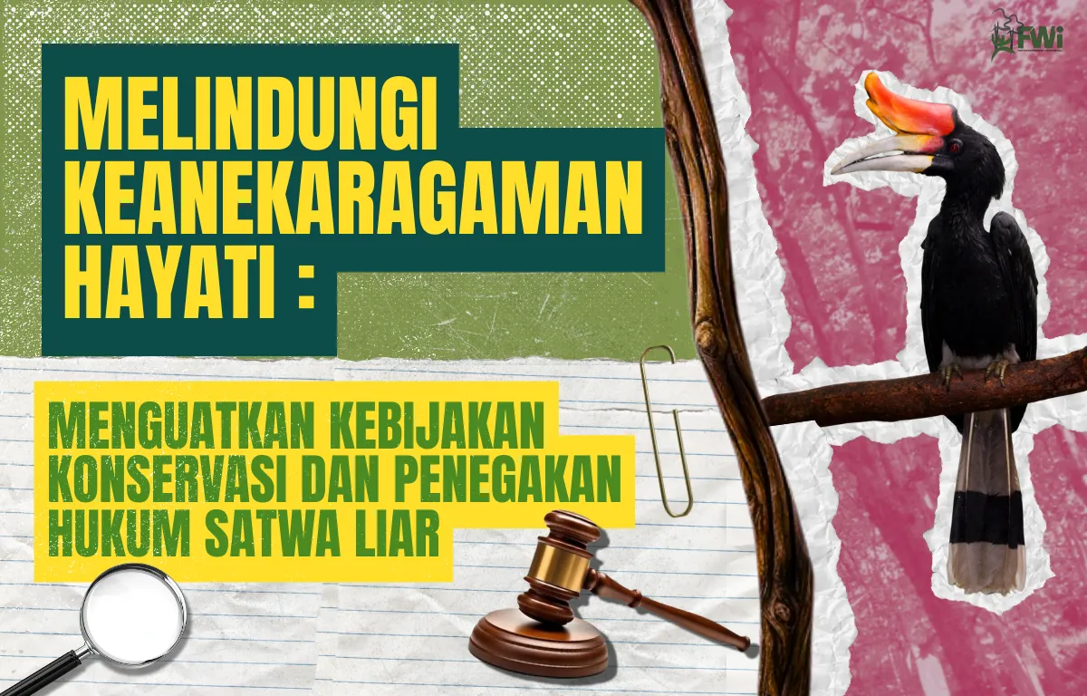Reformasi Aturan Konservasi dan Tantangan Penegakan Perlindungan Kawasan: Deforestasi Masih Terjadi di Area Lindung
