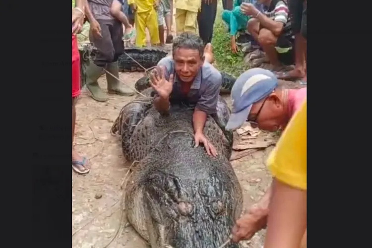 Artikel Belum Dapat Disusun karena Data Berita Tidak Tersedia