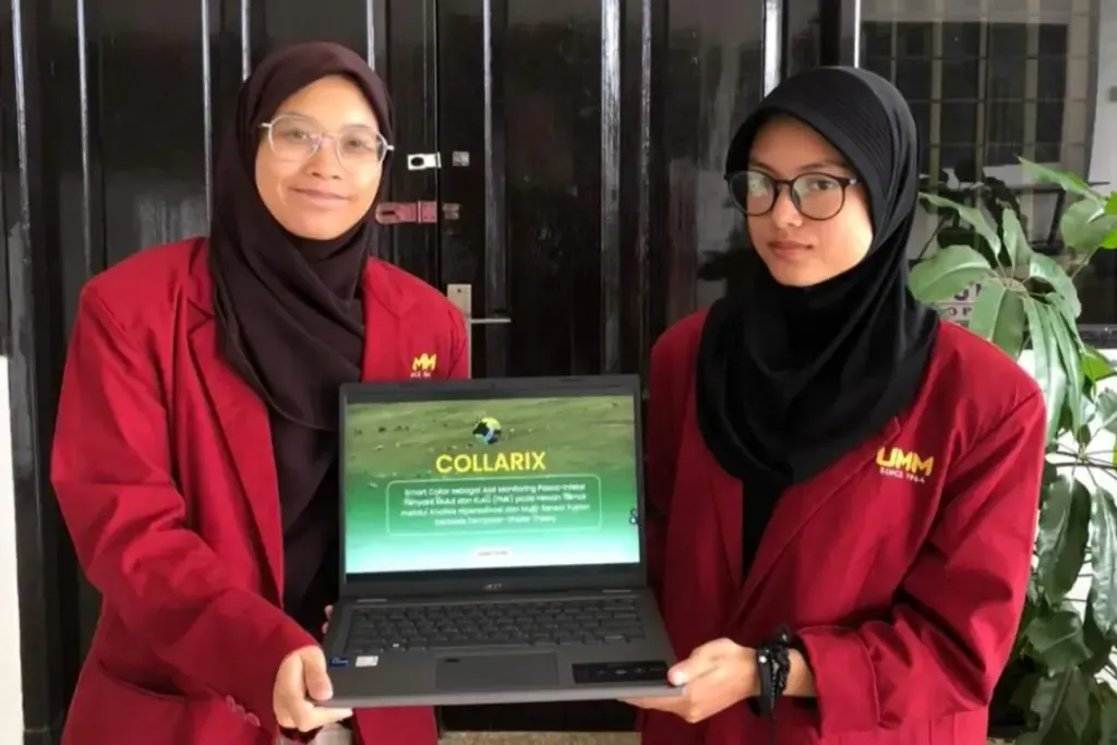 Mahasiswa UMM Kembangkan COLARIX, Kalung Pintar IoT-AI untuk Pemantauan Dini PMK pada Ternak