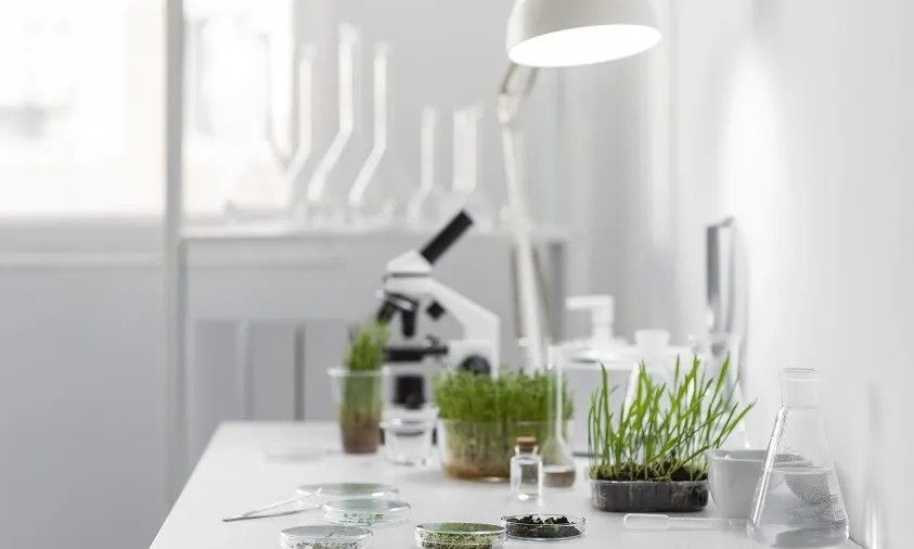 Dosen Universitas Nusa Mandiri Ikut Program Hibah BESTARI Saintek 2026, Dorong Inovasi Berbasis Living Lab