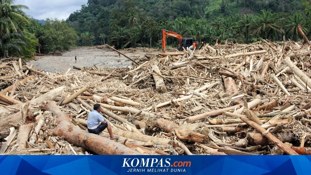 Bareskrim dan Kemenhut Telusuri Asal Kayu Gelondongan yang Terbawa Banjir di Sumatera