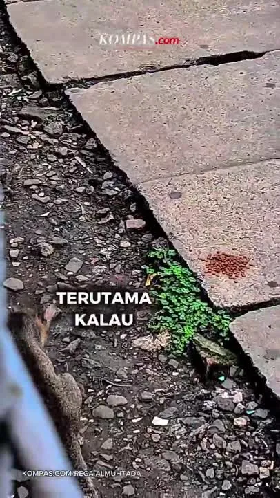 Teks Berita Tidak Memuat Informasi Peristiwa, Hanya Berisi Navigasi Situs dan Informasi Langganan