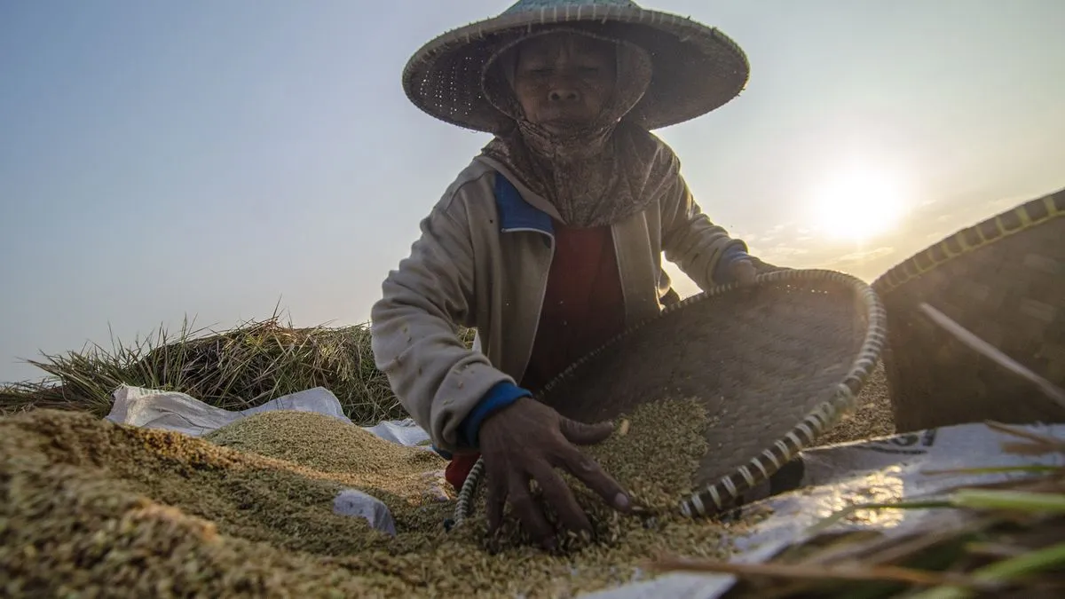 Gabah Milik Petani, Beras Dikuasai Pedagang: Sorotan soal Harga dan HPP