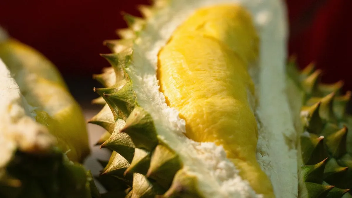 Tips Menyimpan Durian yang Sudah Dibuka tetapi Belum Matang agar Rasa Tetap Terjaga