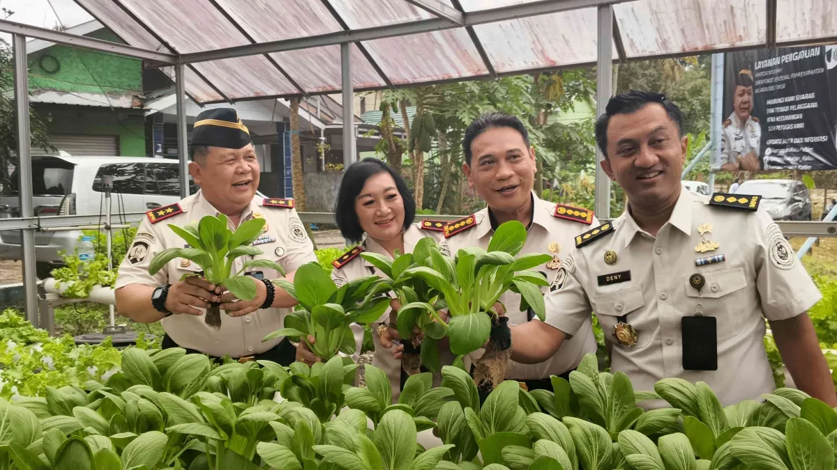 Kakanwil Ditjenpas Kaltim Kunjungi Griya Abhipraya Paguntaka Bapas Tarakan, Panen Selada dan Pokcoy Hidroponik