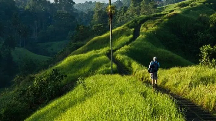 Astungkara Trail di Bali Menang Best of the World 2026 untuk Kategori Wellness Experience Versi National Geographic