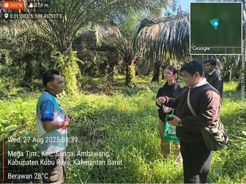 Petani Sawit Kalbar Terapkan Pemantauan Mandiri untuk Deteksi Dini Kumbang Tanduk dan Ganoderma