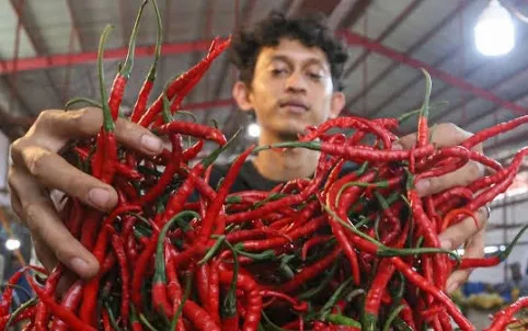 Harga Cabai dan Bawang di Pasar Selasa Tuah Karya Pekanbaru Turun, Pedagang Tetap Waspada