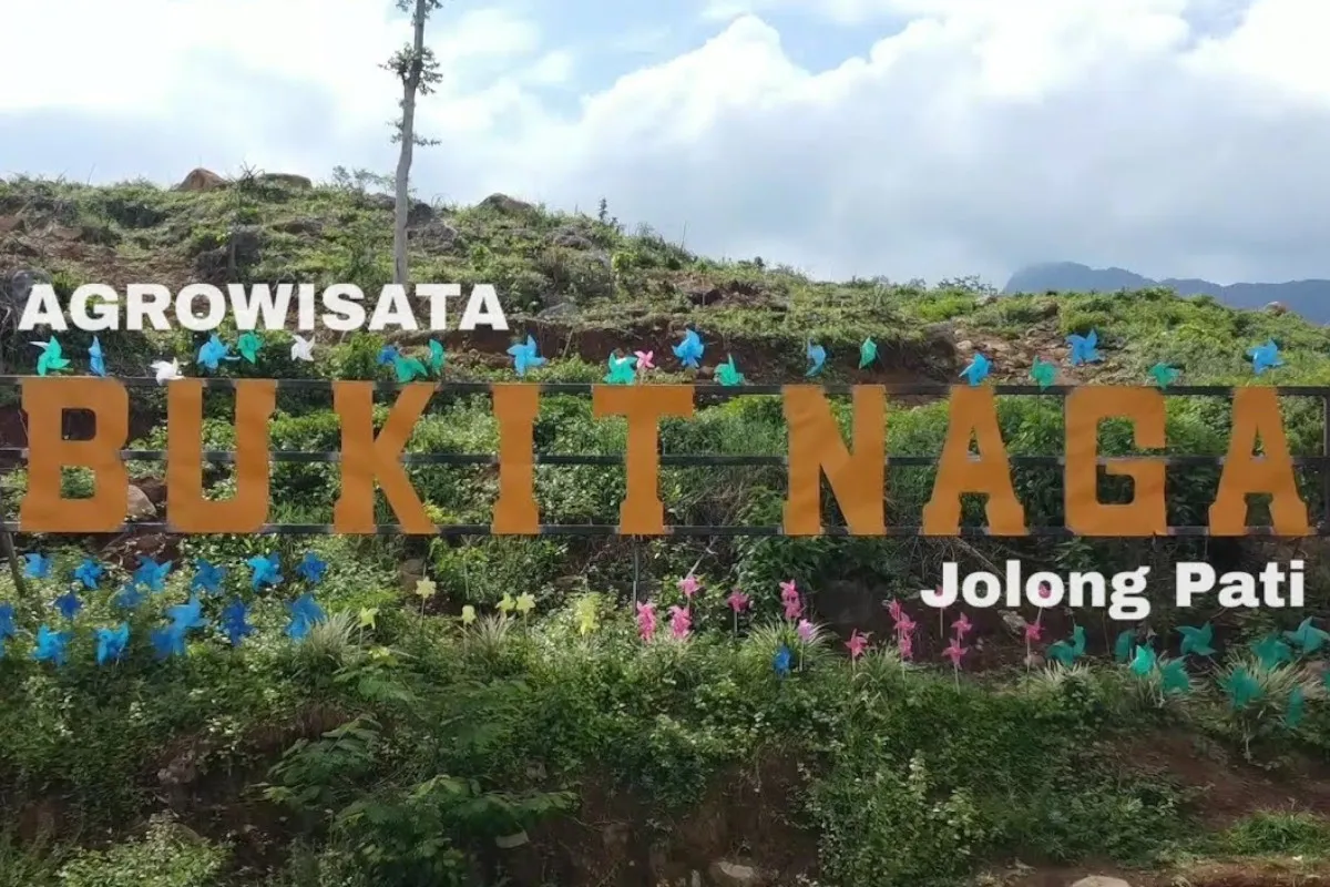 Bukit Naga Jolong di Pati, Agrowisata Lereng Muria yang Menyimpan Jejak Perkebunan Kopi Kolonial