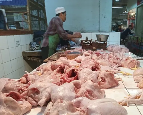 Harga Daging Ayam Broiler di Pasar Pelita dan Gudang Sukabumi Naik, Diskumindag Soroti Faktor Karkas dan Pasokan