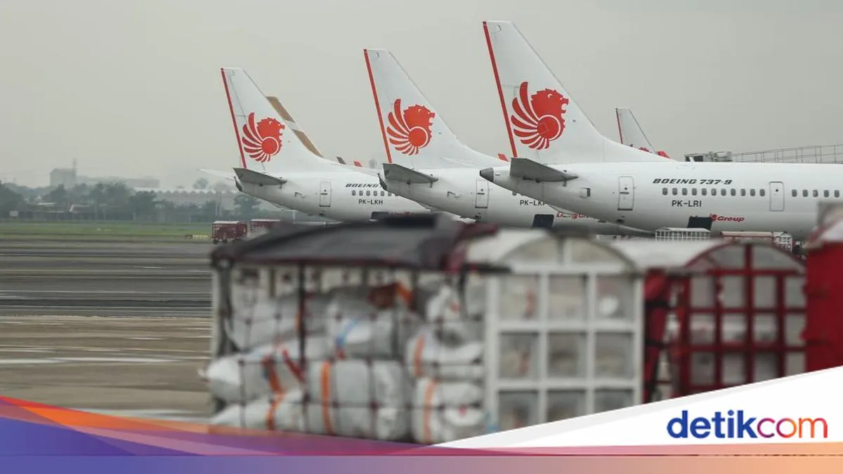 Awal Tahun, Jumlah Penumpang Pesawat di Asia Pasifik Tercatat 35,5 Juta