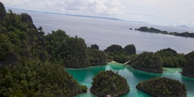 Institut USBA: Papua Jadi Tolok Ukur Konsistensi Penegakan Hukum Tata Kelola SDA