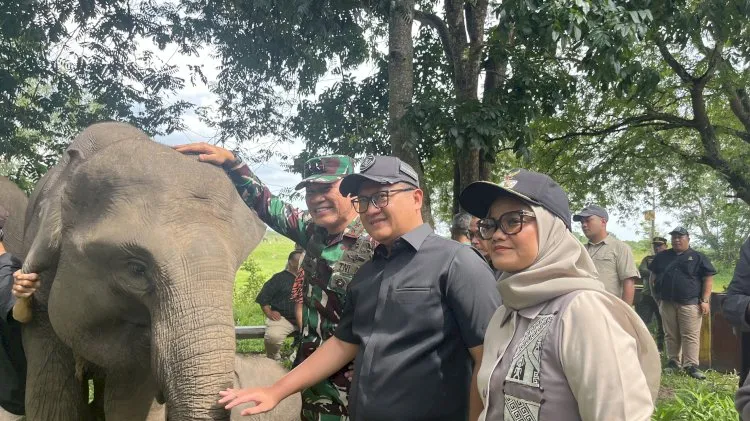 Bupati Lampung Timur Apresiasi Perhatian Presiden terhadap Konflik Gajah di Way Kambas