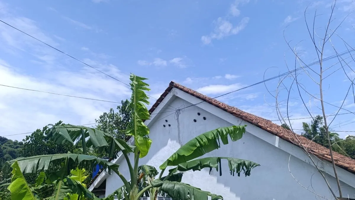 Warga di Sukamaju Kidul Keberatan Kabel Internet Dipasang di Tembok Rumah Tanpa Izin, Ketua RT Mengaku Tak Diberi Tahu