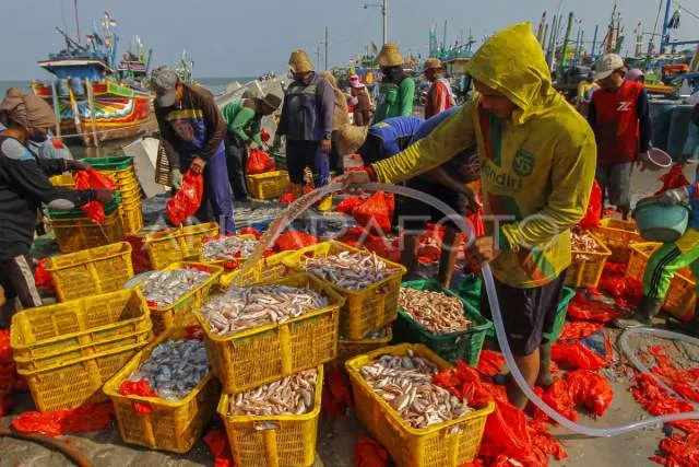 Sekitar Separuh Nelayan di Tuban Belum Terdaftar BPJS Ketenagakerjaan