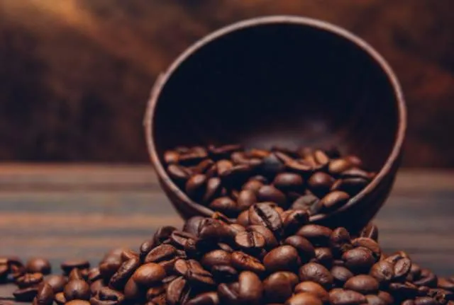 Kopi Gayo dari Dataran Tinggi Aceh, Cita Rasa Khas yang Dikenal hingga Mancanegara