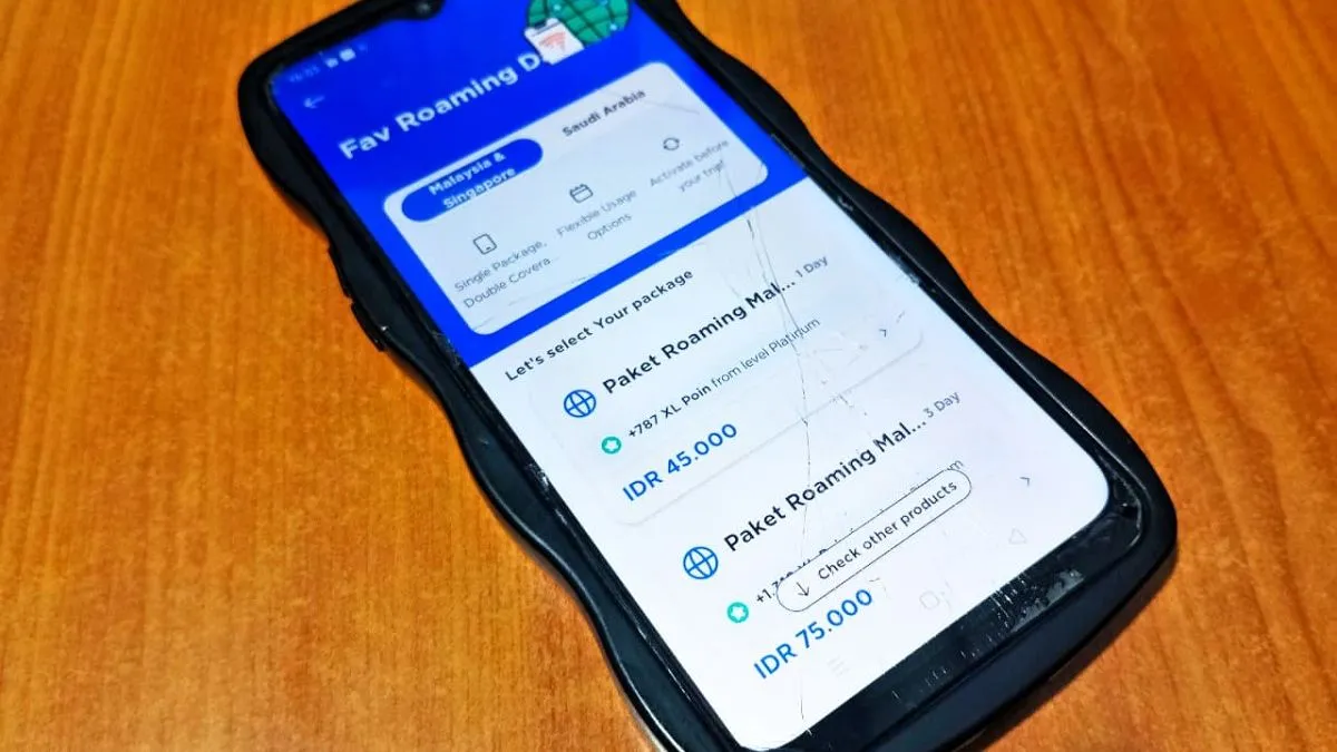 Wi-Fi di Bali Tetap Menyala Saat Nyepi, Paket Data Ponsel Pribadi Diputus