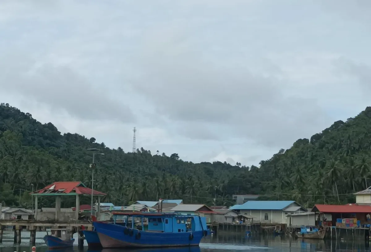 Internet Hilang-Timbul, Warga Desa Nyamuk Keluhkan Gangguan Sinyal 4G Selama Sepekan