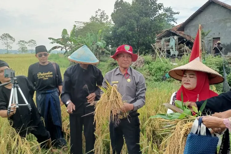 Warga Desa Bondan Gelar Mapag Sri Sambut Panen Raya
