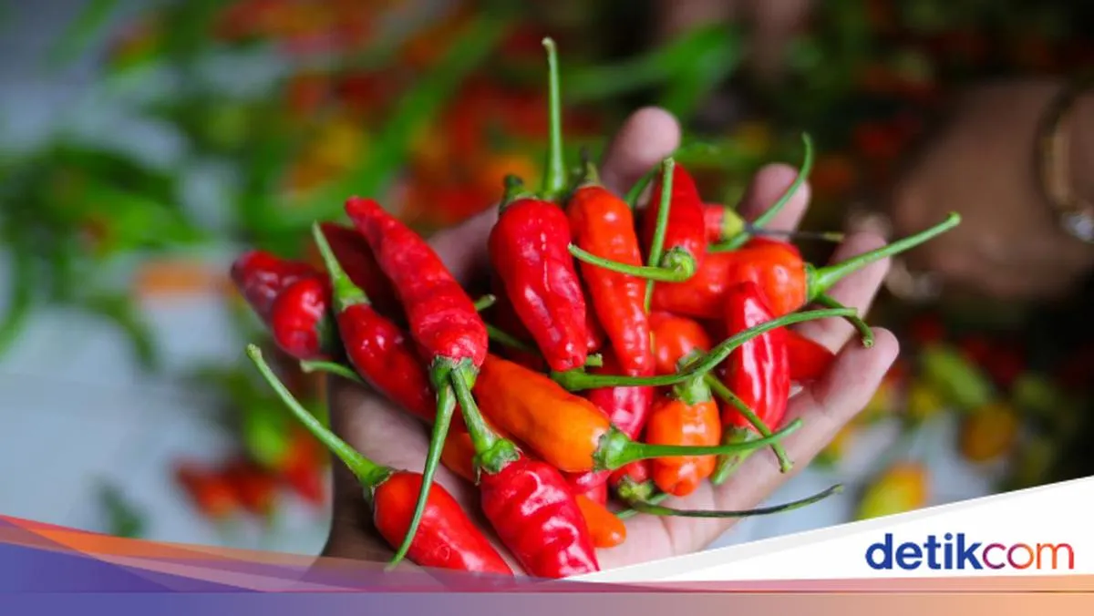 Harga Cabai Rawit Merah di Pasar Tradisional Palembang Naik Menjadi Rp 55 Ribu per Kilogram
