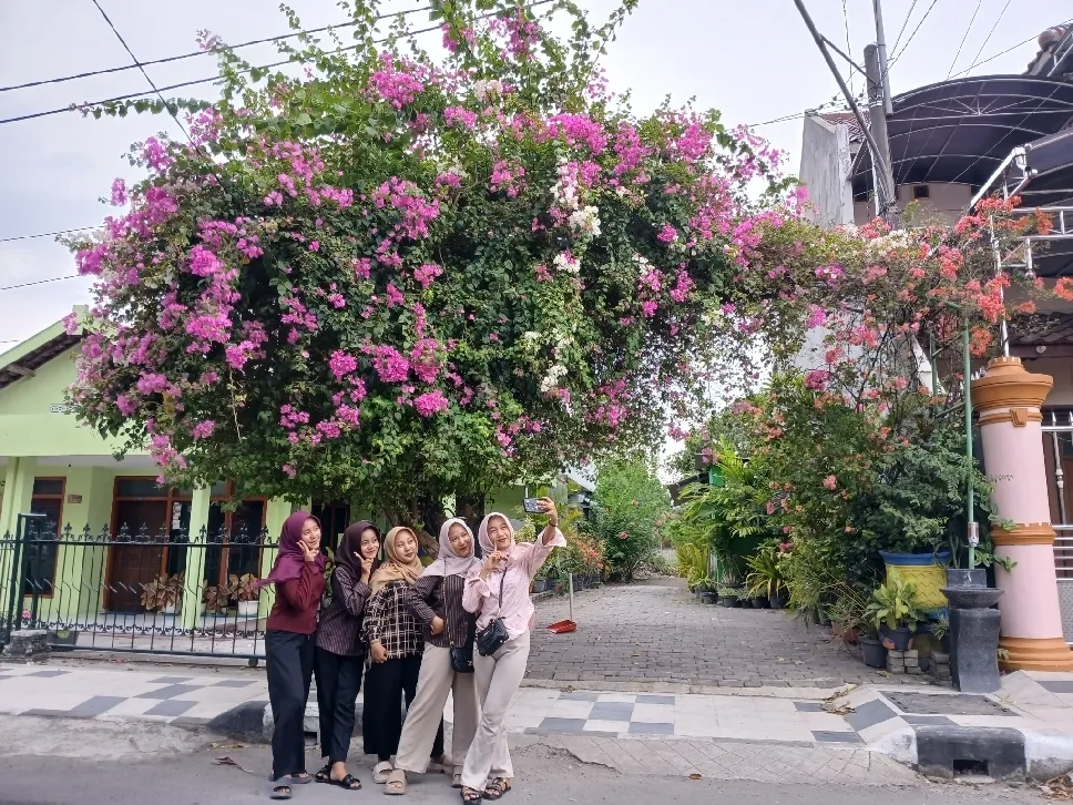 Bugenvil Dekat Rumah Bupati Lamongan Viral, Remaja Ramai Berburu Foto untuk TikTok