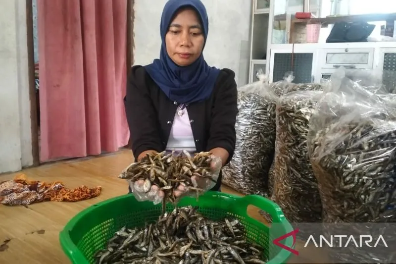 Pascabanjir Bandang, UMKM Ikan Bilih di Tanah Datar Alami Lonjakan Pasokan dari Nelayan