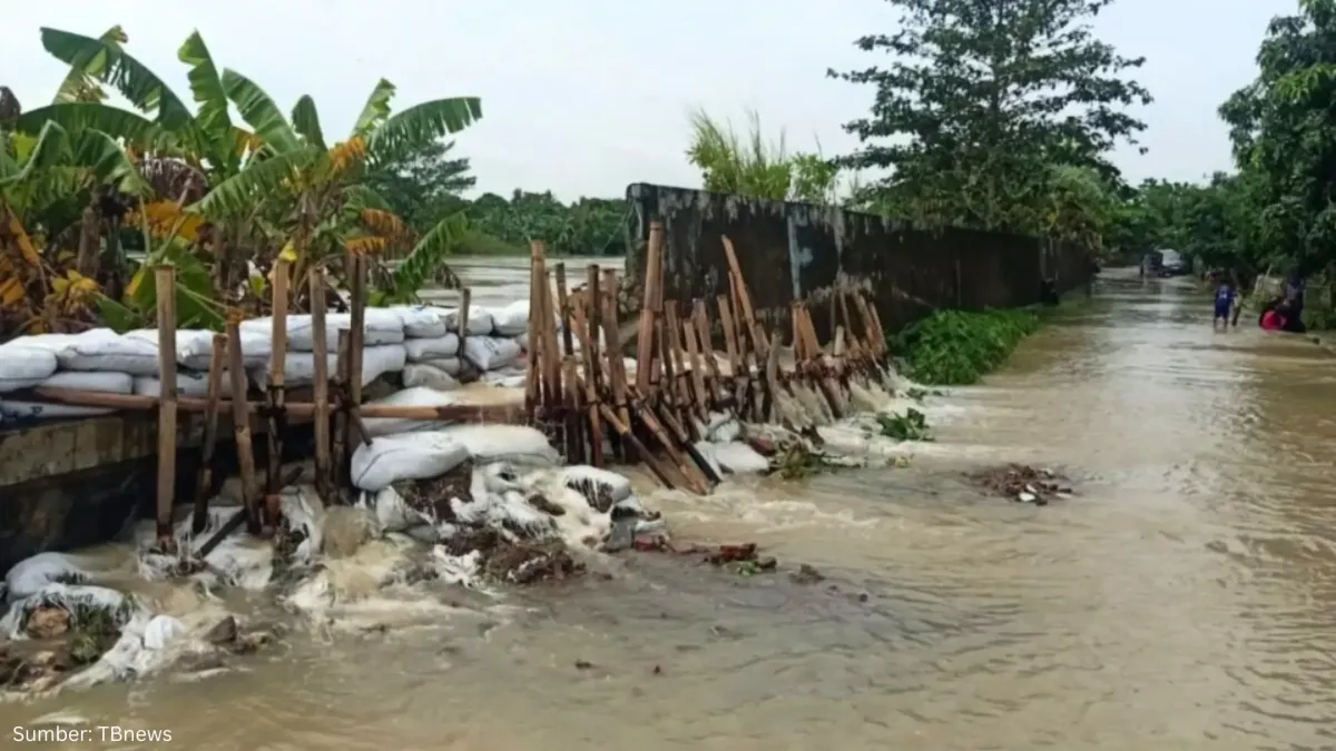 Banjir Kembali Terjang Kabupaten Bekasi, Tanggul Citarum Jebol dan Drainase Dinilai Bermasalah