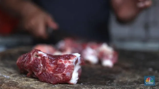 Kemendag Terbitkan Izin Impor 280 Ribu Ton Daging Sapi Beku, Dialokasikan untuk BUMN dan Swasta