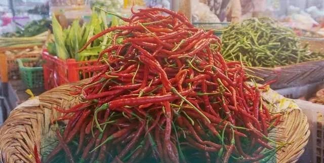 Harga Seluruh Jenis Cabai di Padang Panjang Turun pada Pekan Ketiga Januari 2026