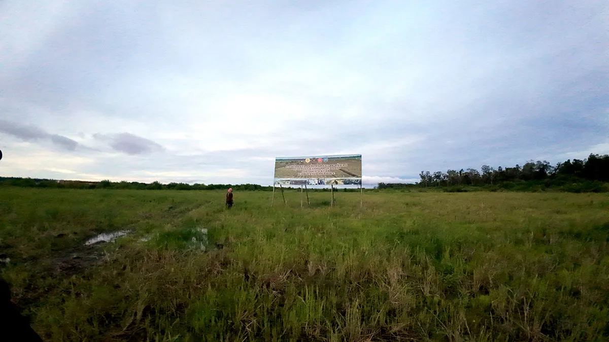 Menelusuri Rencana Ekspansi Food Estate di Merauke, Papua Selatan