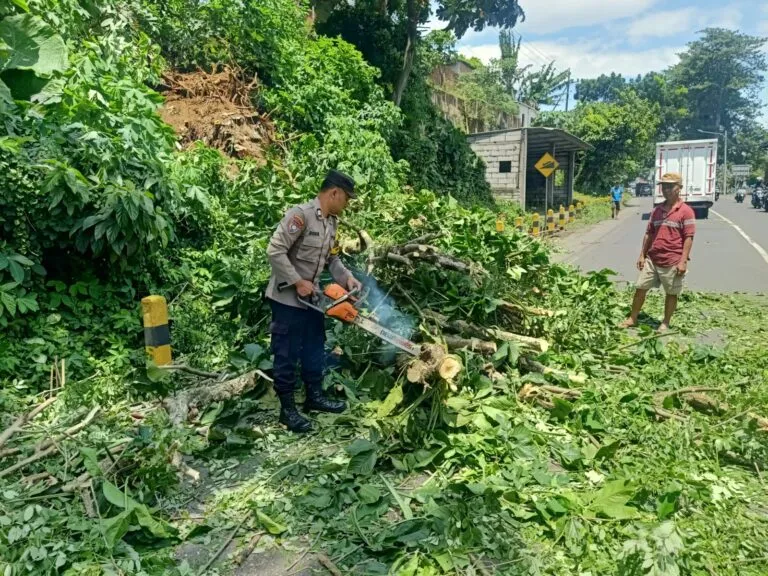 Angin Kencang di Kabupaten Malang Picu Pohon Tumbang, Rusak Rumah dan Ganggu Lalu Lintas