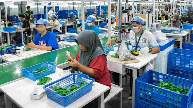 HKI: 18 Proyek Strategis Hilirisasi Dapat Dorong Investasi, Lapangan Kerja, dan Daya Saing Industri