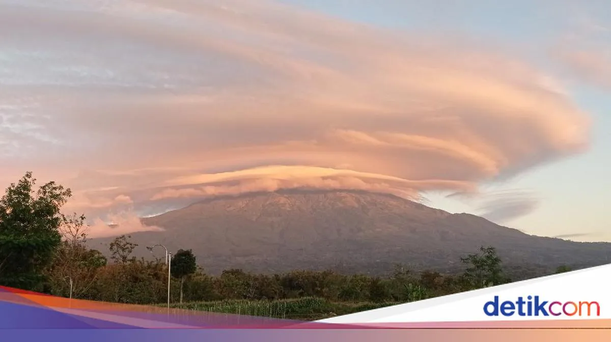 Tanaman di Puncak Gunung Lawu Disebut Berpotensi Memiliki Kandungan Antikanker