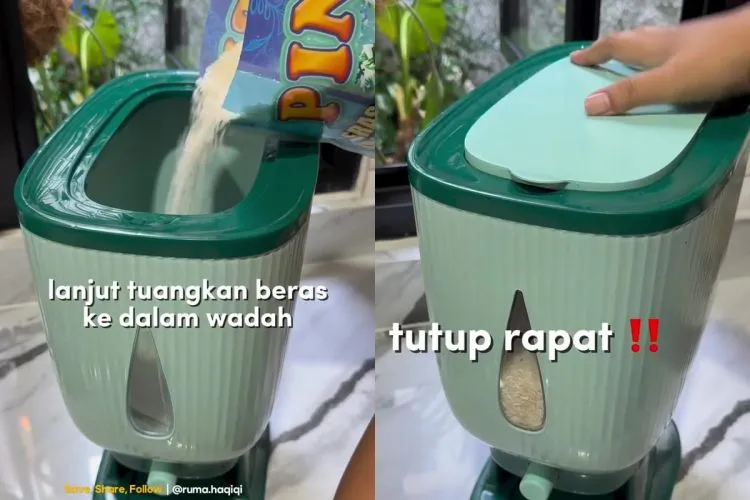 Trik Cegah Kutu dan Serangga di Wadah Beras dengan Cuka Dapur