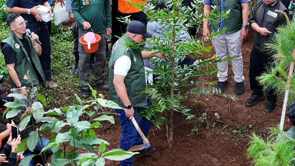 Pemerintah Diminta Evaluasi Tata Ruang dan KLHS, Kajian Sebut Rehabilitasi Hutan Hulu Ciliwung Dapat Turunkan Debit Air