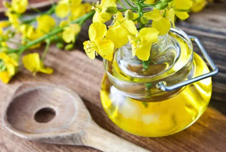 Canola Oil Disebut Dapat Membantu Menurunkan Kadar Gula Darah