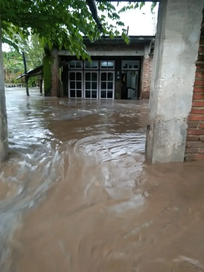 BNPB Catat Sejumlah Bencana di Berbagai Daerah hingga 23 Januari 2026