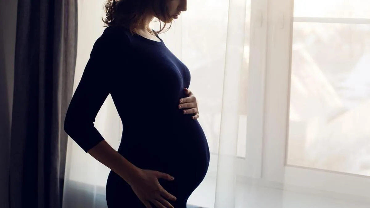 Perdebatan Surrogacy atau ‘Pinjam Rahim’ Ramai di X usai Kabar Meghan Trainor