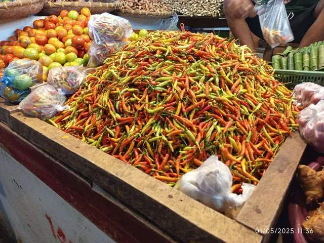 Harga Rica, Tomat, dan Bawang di Pasar Bahu Manado Turun dalam Beberapa Hari Terakhir