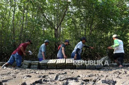 Kementerian Kehutanan Dorong Perhutanan Sosial Berbasis Agroforestri untuk Topang Produksi Pangan