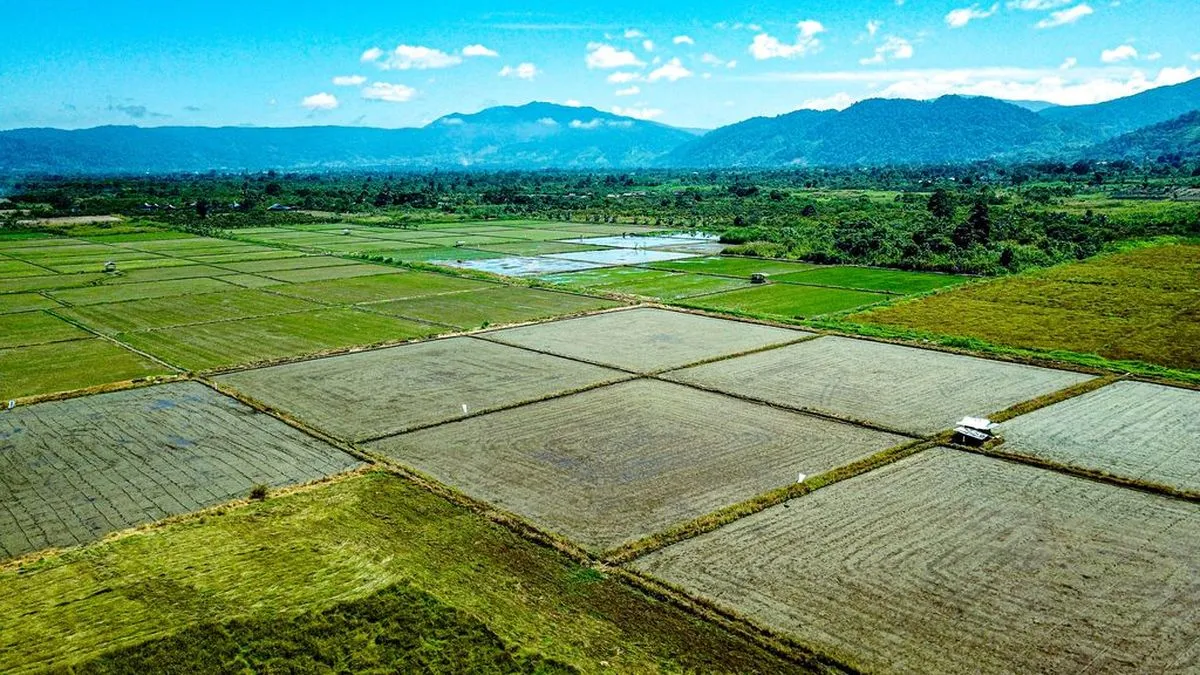 PBB Serukan Transformasi Total Sistem Agrifood untuk Merespons Krisis Pangan Global