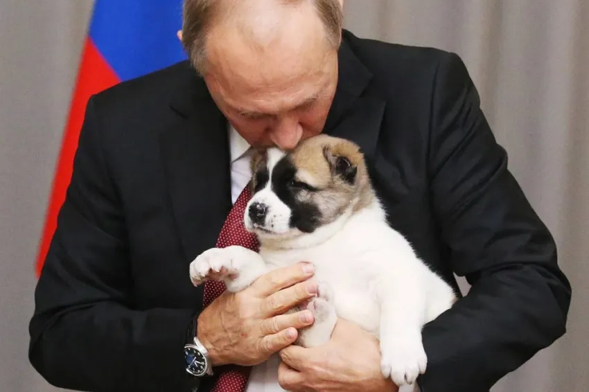 Putin: Rusia Tak Cari Konflik dengan Eropa, Namun Siap Merespons Jika Ketegangan Meningkat